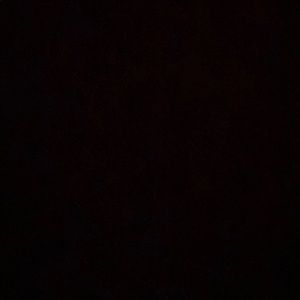 Meet your Posher, Davina